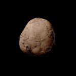 O fotografie care prezintă un cartof a fost vândută cu aproape un milion de euro.