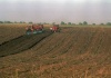 Numărul tranzacţiilor cu terenuri agricole în Arad s-a înjumătăţit, anul trecut