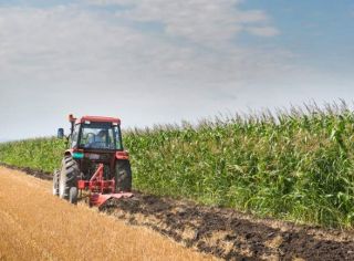 Cel mai scump teren agricol tranzacţionat în 2018 a fost în Arad