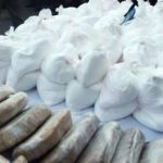 5 tone de precursori de heroină şi 20 de kg de cocaină, confiscate la PTF Nădlac