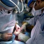 Al patrulea transplant de cord din România din acest an. Un arădean a primit inima unei femei