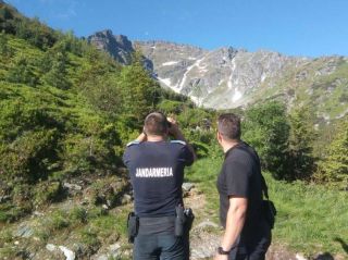 UPDATE Arădean rătăcit în Munții Semenic. Jandarmii montani au pornit în căutare