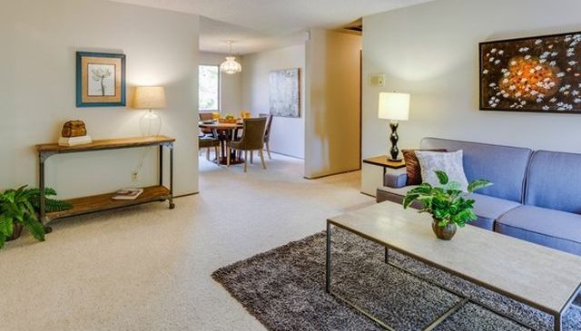 Living modern, amenajat creativ: vezi 5 idei utile pentru o astfel de încăpere în casa ta