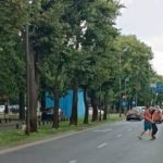 Amenzi pentru traversarea prin loc nepermis, în municipiul Arad