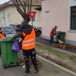 Campanie de colectare gratuită a deșeurilor vegetale de la populație, în municipiul Arad