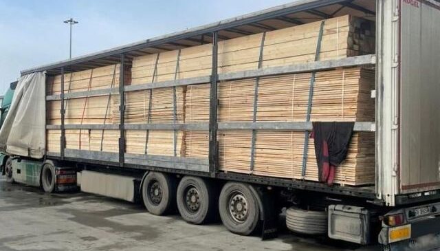 Dosar penal. Transport ilegal de material lemnos, depistat pe autostradă