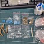 Droguri ascunse într-o jucărie de pluş, introduse în ţară pentru a fi vândute la un festival din Arad