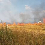 Sesizare penală după ce 5,5 hectare dintr-o arie protejată au fost incendiate