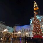 IMG_20241206_195441