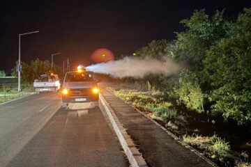 Primăria Arad: Ultimele tratamente de dezinsecție împotriva țânțarilor