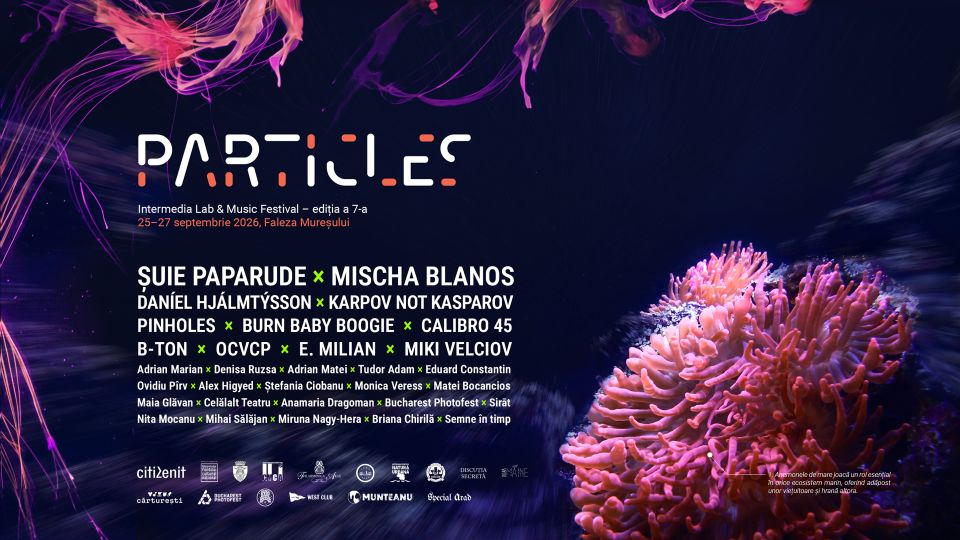 Particles Intermedia Lab&Music Festival, pe malul Mureșului în Arad