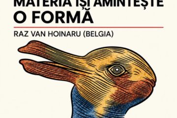 „Materia își amintește o formăˮ. Expoziție de artă la Complexul Muzeal Arad