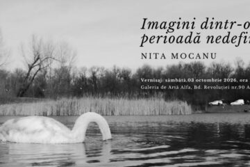 „Imagini dintr-o perioadă nedefinită – despre arheologia realității”, la Galeria de Artă Alfa din Arad