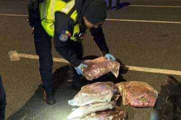 Tânăr care venea cu o cursă din Spania, prins cu şapte kilograme de canabis