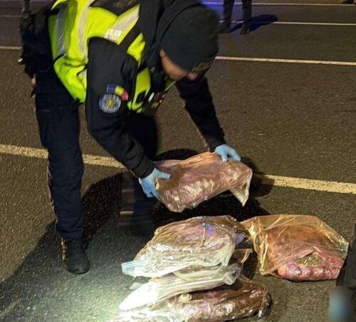 Tânăr care venea cu o cursă din Spania, prins cu şapte kilograme de canabis