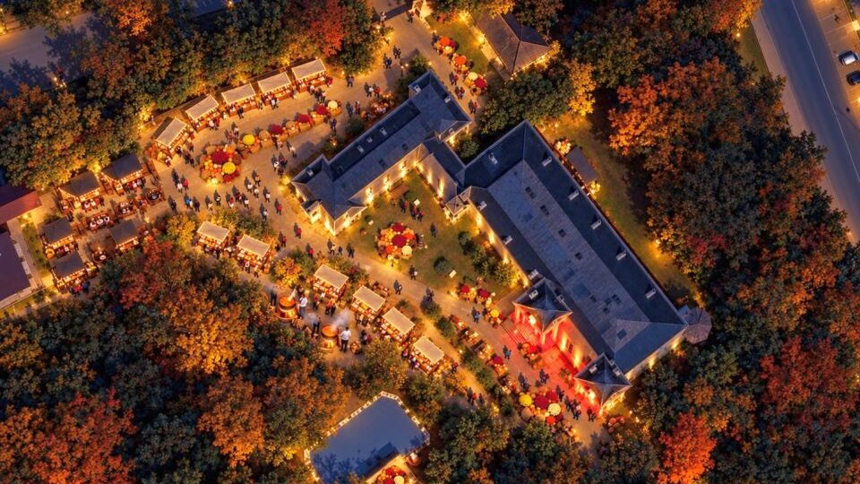 „Fest in Macea“. Festival culinar, turism și distracție la Castelul Csernovics